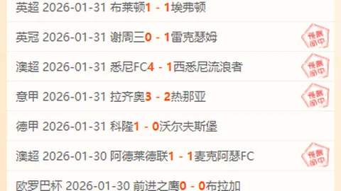 激情对决！意甲焦点战：亚特兰大硬碰克雷莫纳，精彩瞬间及比分揭晓！