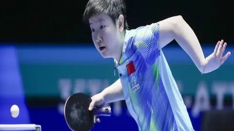 欧青赛分析：荷兰U19期号预测及后市调整原因